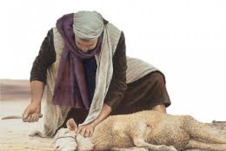 5º Mandamento - Qual o pensamento de Jesus com relação a comer sangue de animais - Dom José Falcão
