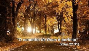 #PergunteResponderemos: 82 - O pecado fere a majestade infinita de Deus - Felipe Aquino