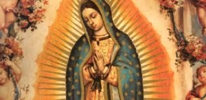 Festa Nossa Senhora de Guadalupe