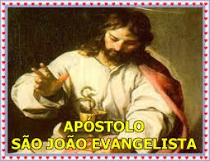 História Sagrada - Os Evangelistas - Parte 06 - São João