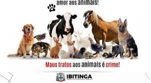 #PergunteResponderemos: 50 - Qual a posição da Igreja sobre os maus tratos aos animais? Felipe Aquino