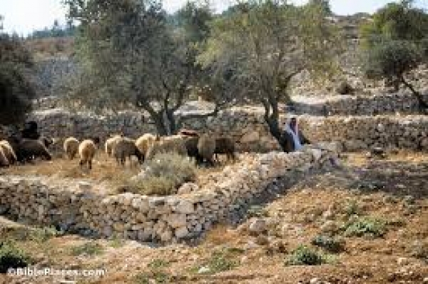 A Bíblia Viva - Bethlehem - Nos Passos de Jesus - 10