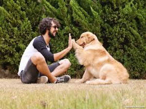 7º Mandamento - Os animais são criaturas de Deus - Dom José Falcão