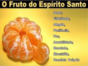 Quais são os frutos do Espírito Santo? Felipe Aquino