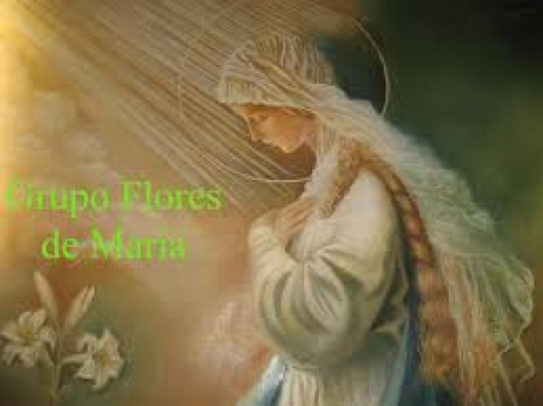 Maria, Mulher de Aço e de flores - Parte 2/5 - Pe. Fábio de Melo