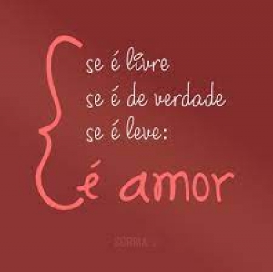 A consciência moral - O amor como sentimento - 26